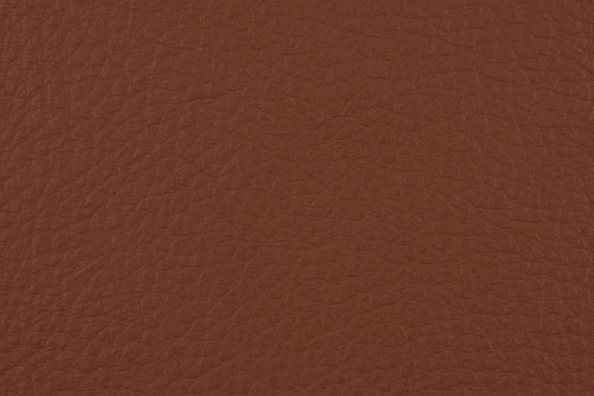 Leder Montana coffee